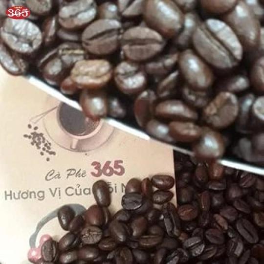 CÀ PHÊ 365 HẠT CULI ROBUSTA