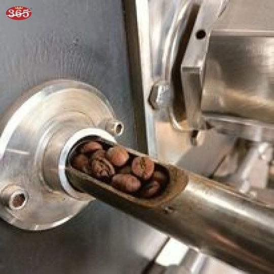 CÀ PHÊ 365 HẠT ROBUSTA