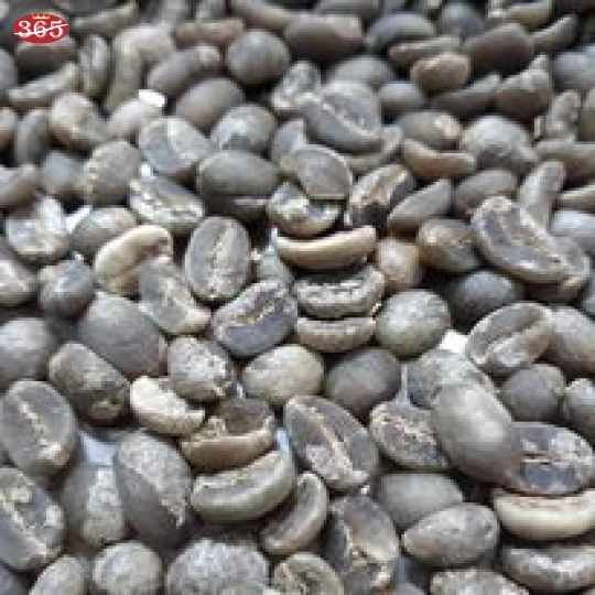 CÀ PHÊ 365 HẠT ARABICA