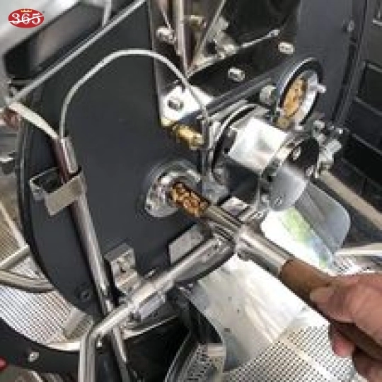 CÀ PHÊ 365 HẠT CULI ROBUSTA