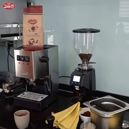 MÁY PHA CÀ PHÊ GAGGIA CLASSIC PRO