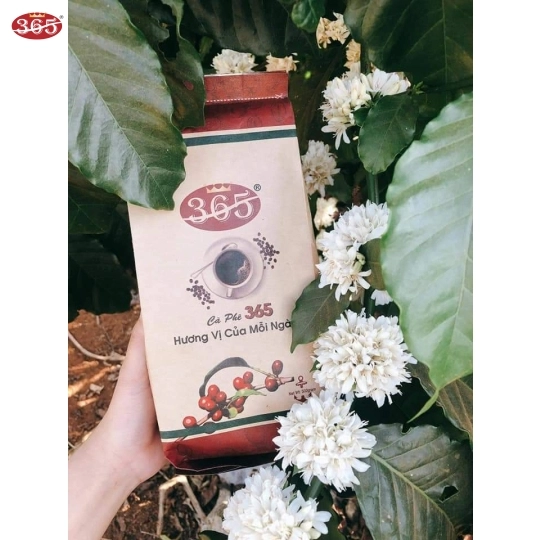 CÀ PHÊ 365 RED