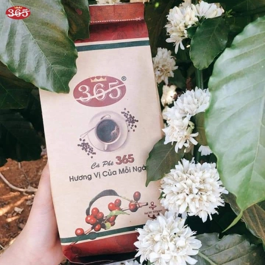 CÀ PHÊ 365 WOOD