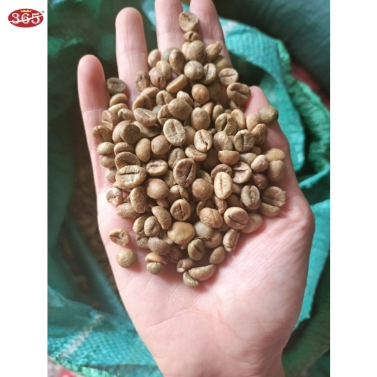 CÀ PHÊ 365 HẠT ROBUSTA HONEY
